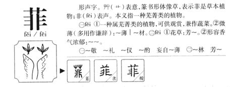 菲意思名字